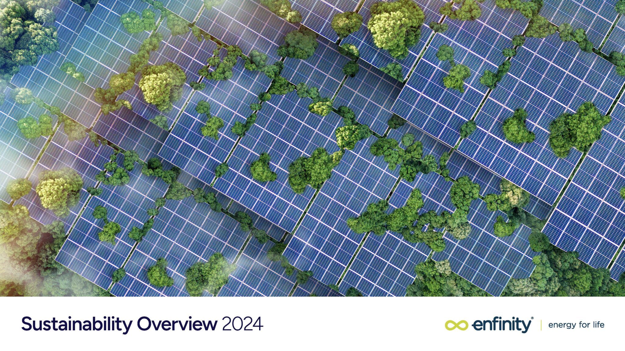 Enfinity Sustainability Overview 2024 Enfinity Global